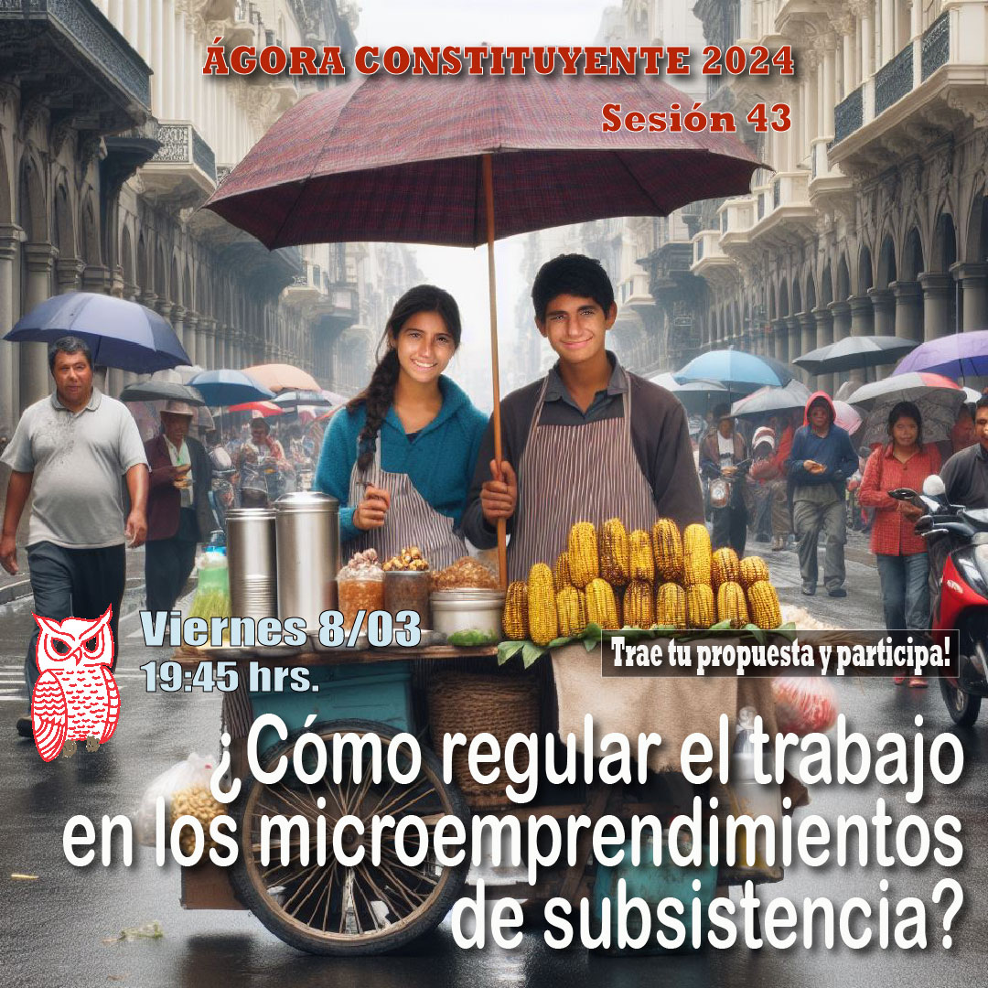 Ágora Constituyente  VIERNES 8 marzo - ¿Cómo regular el trabajo en los microemprendimientos de subsistencia? - Sesión 43