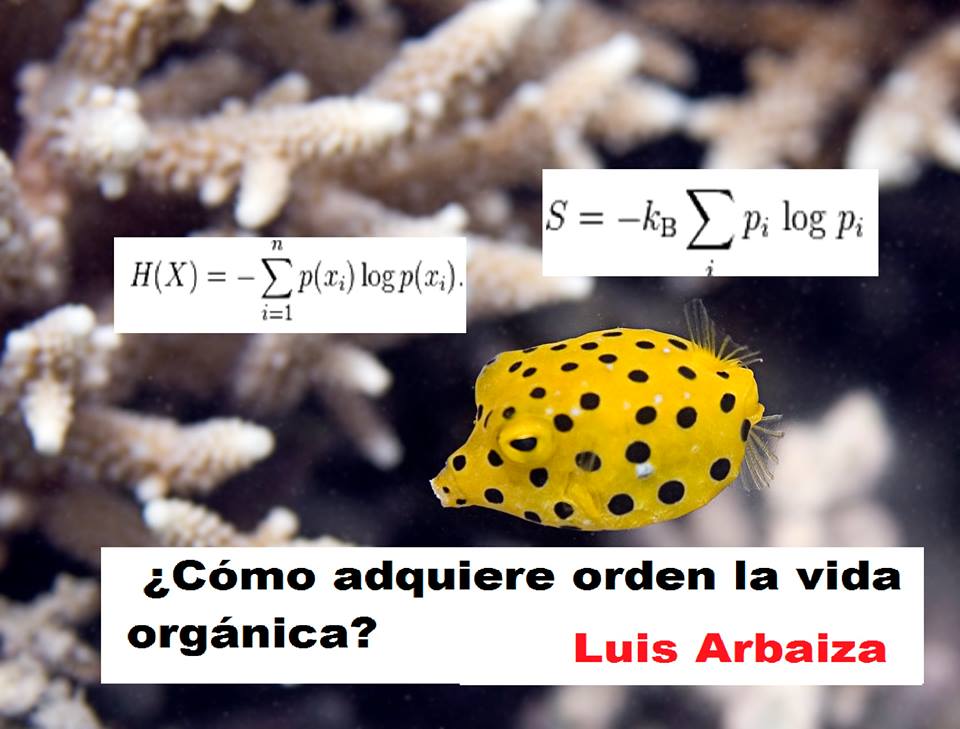 OrdenBiologicoPezArbaiza